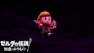 リンクお前何持ってんの？【ゼルダの伝説 知恵のかりもの】#8