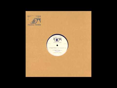 dandy teru feat  ty, sarah gessler & quiet dawn - fragile things