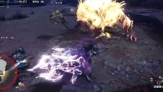 とある日の野良マルチ。ラージャンに集まりし歴戦のハンターたち【アイスボーン】【MHWI】