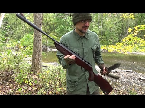 One Beautiful Rifle For The Price ($155) Air Guns, Umarex Forge Review, Pellet Rifle - 1250FPS