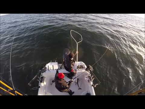 Vänern kevät 2019 osa 1