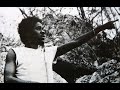 Tribulation, Dennis Brown, Tribulation Version, Niney the Observer, Revelation Fulfill