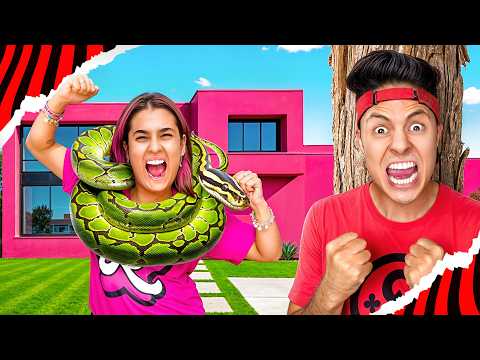 MY SNAKE IS STILL MISSING...