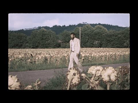 Song from La Chimera - Come gli uccelli in volo (2023)