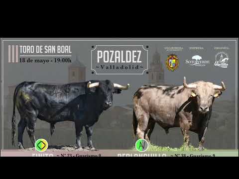 Tercer Toro de San Boal Pozaldez 2024