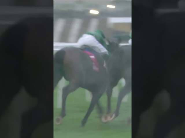 Thumbnail for Post ID: 1W7QFWMBMG4