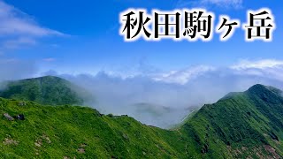 念願の秋田駒ヶ岳