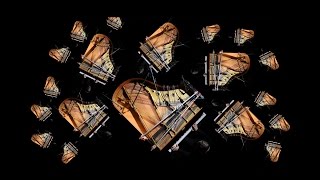 Grandbrothers - Arctica