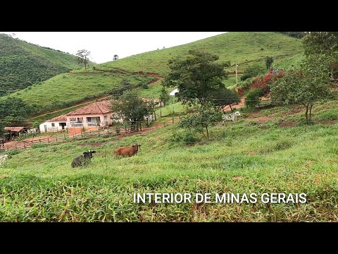 TERRA DE MINAS GERAIS | ZONA RURAL DE  COLUNA MG E SÃO JOSÉ DO JACURI MG, CAIÇARA E AGUA LIMPA(ROÇA)