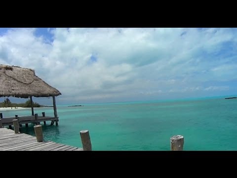 Coconice  - "Vago En El Mundo"