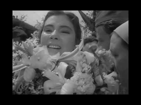 The Cranes Are Flying | Weeping