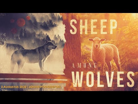 DOXA DEO MIDSTREAM | 2 Augustus 2020 | Johan Poggenpoel | Sheep Among Wolves | The Table