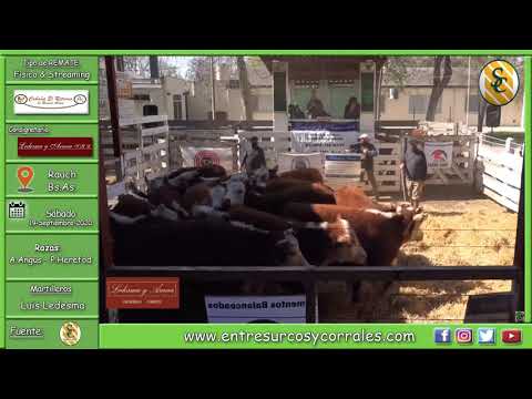 19-09-20 - Remate de Cabaña El Retorno de Ramón Alías - Ledesma y Arana S.R.L. - Tandil (Bs.As.)