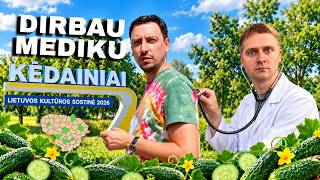DIRBAU MEDIKU | KĖDAINIAI (7/60)