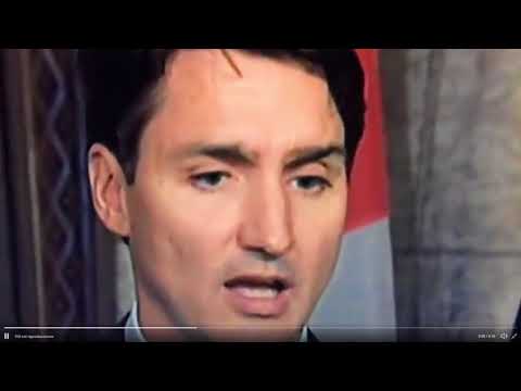 ¿Usa Justin Trudeau cejas postizas?
