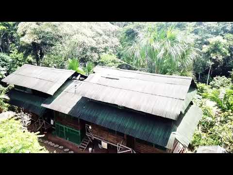 Turning carbon footprints into healthy soils