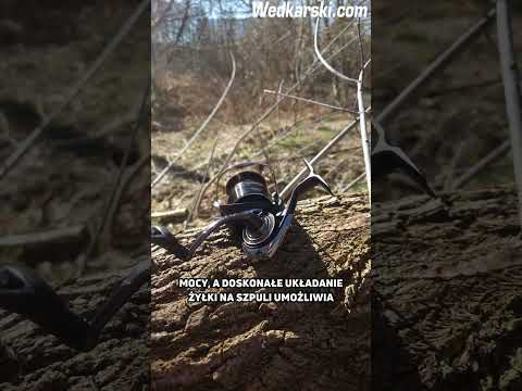 Kołowrotek Daiwa Tournament Match & Feeder 5000