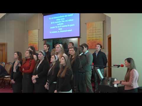 D0285 inima mea tanjeste