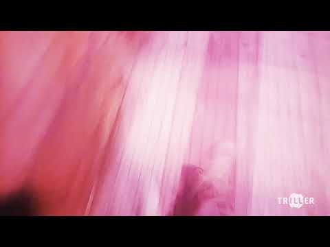 ENEPUNTO - CAMARÓN (PIRRICLIP OFFICIAL)