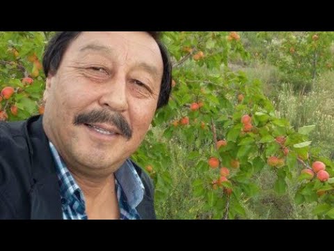 Асылбек Озубеков - фаридам ретро ыр ностальгия