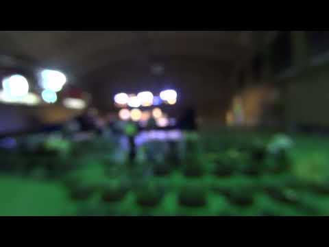This video has been deleted.＠学祭ライブ2023