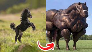 Before   After Animals Growing Up   Amazing Animal   Transformation Animals Grow Up108