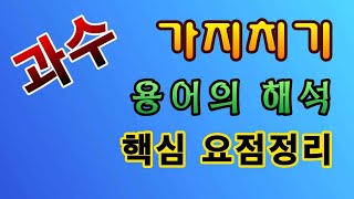 [텃밭농부.910}  과수 가지치기 용어의 해석 및 핵심 요점정리