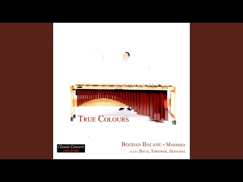 Rhythms Of Life - Solo Version