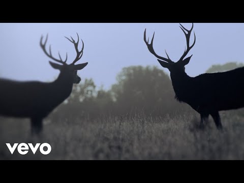 Ihsahn - PILGRIMAGE TO OBLIVION online metal music video by IHSAHN