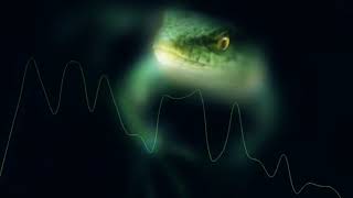 Traci Lords - Control