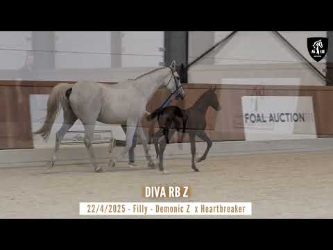 DIVA RB Z