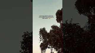 Download lagu #caption video #status #whatsapp status #status video #facebookcaption #loveststus #quotes #khobi303 mp3 Download lagu #caption video #status #whatsapp status #status video #facebookcaption #loveststus #quotes #khobi303 mp3