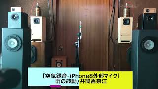 iPhone8に外部マイク（ステレオ）を付けて空気録音～雨の鼓動/井筒香奈江(recorded at 2.5 meter away)