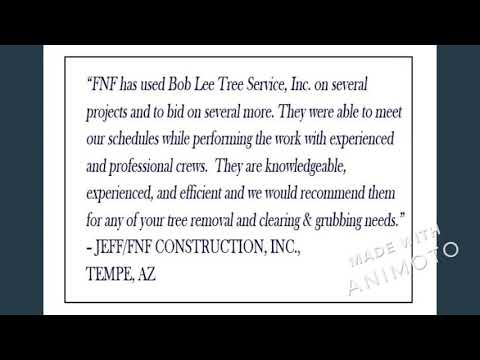 Bob Lee & Sons Tree Service video