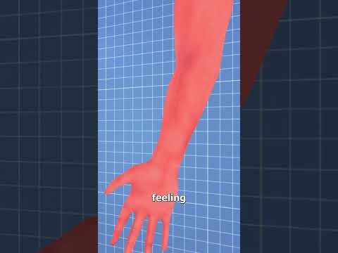 Why Your Arm Falls Asleep 🤔
