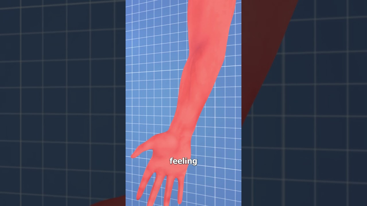 Why Your Arm Falls Asleep 🤔