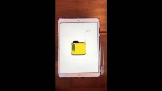 How to Unzip Digital Planner on iPad
