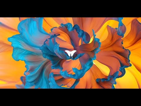 ATH : MONOLINK 09 | 06 AFTERMOVIE