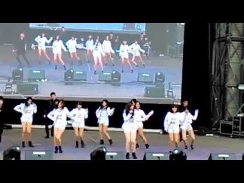 [Nine Wild Perù] News , Ladies ,Action. -Nine muses