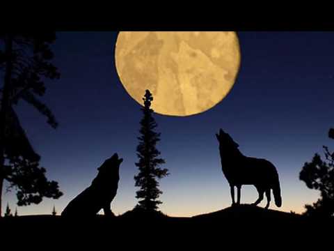 BiG WoLF Ft StaiD - Jetë na Sose