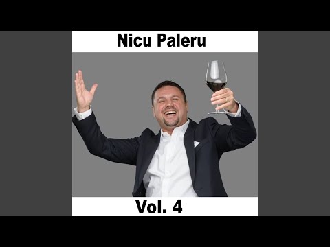 Eu Beau Vinu' Cu Borcanu'