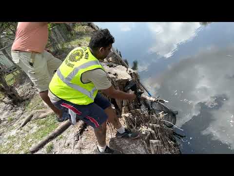 First Back-Yard Iguana Job with FX Panthera