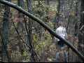 Wrong Turn 4