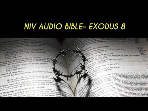 EXODUS 7 NIV AUDIO BIBLE (with text)