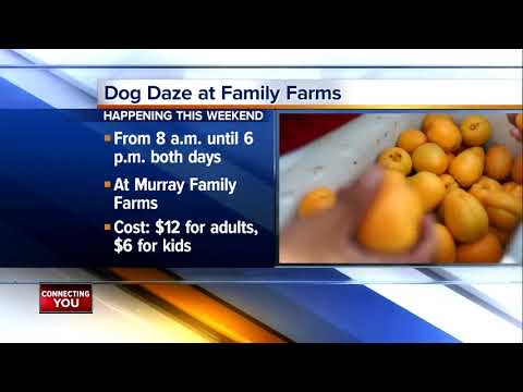 23ABC News Latest Headlines | March 22, 6pm