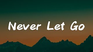 Download lagu Tyasta Pangalila - Never Let Go || [Mix lyrics] - Hillsong Worship, Charity Gayle, Gerald mp3