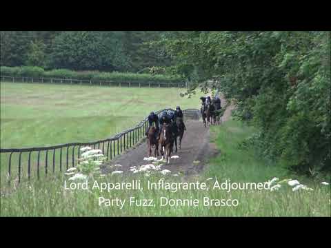 Second Lot 15 07 2020