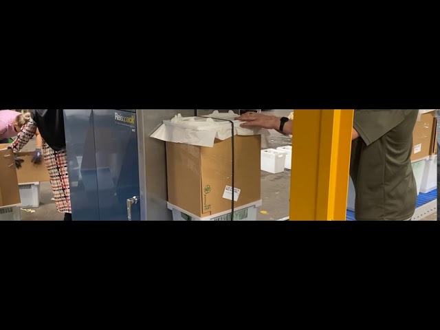 youtube video background