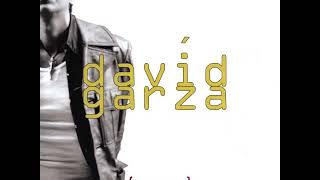 05 •  David Garza - Discoball World (edited), Sadness &amp; Slave