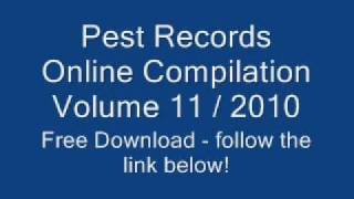 Pest Records Online Compilation Vol. 11 / 2010 - FREE DOWNLOAD!